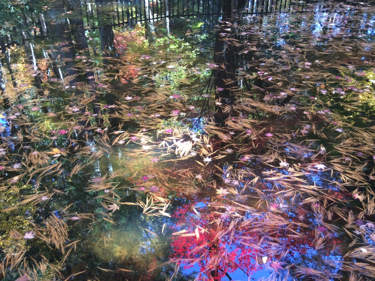 Earth Water Sun&nbsp;Sky