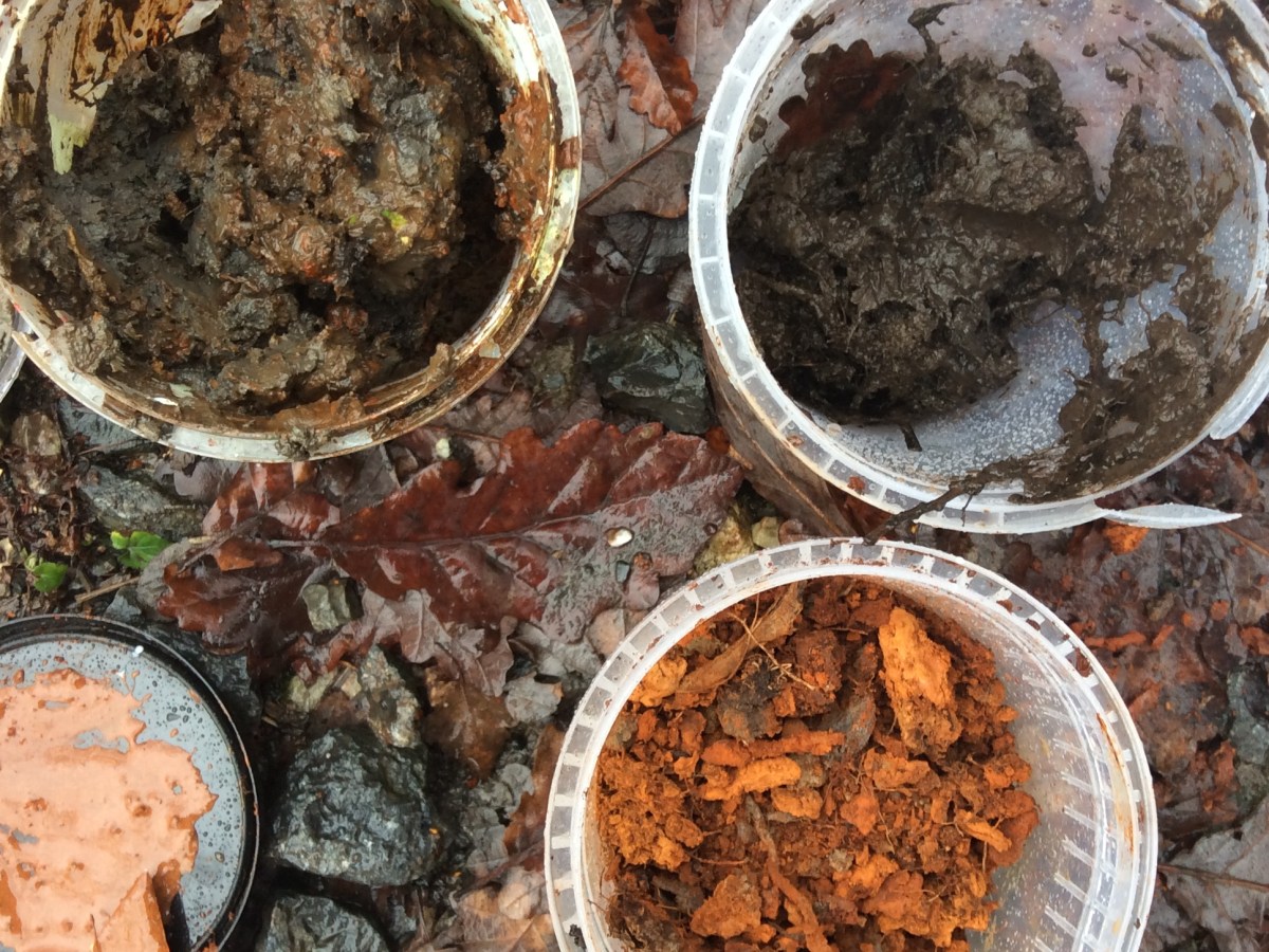 Artists in Natural&nbsp;Habitat