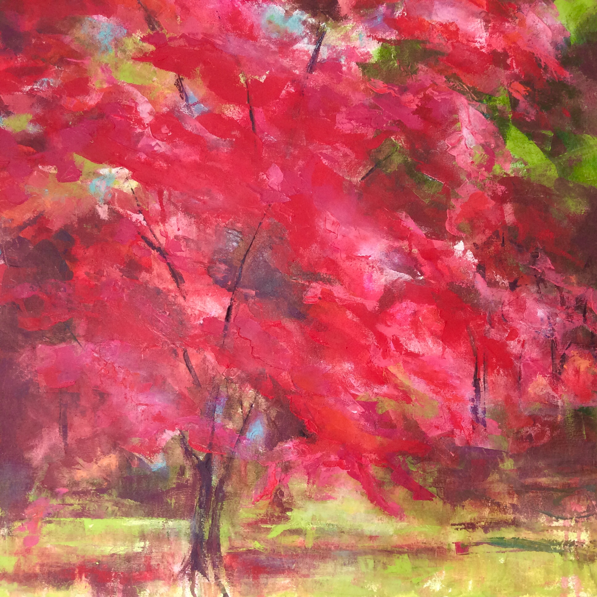 Autumn Acer by Amanda Pellatt
